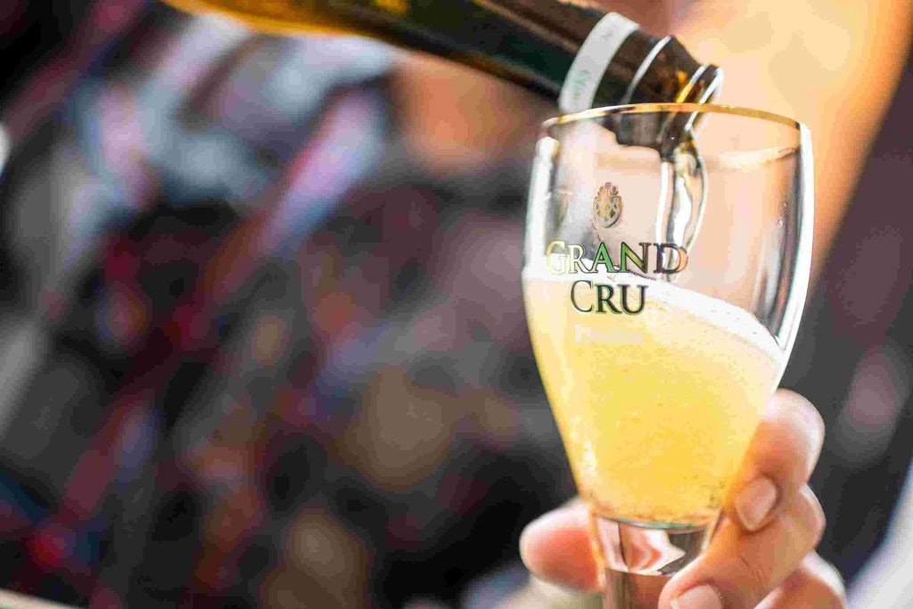Verre de dégustation St-Feuillien Grand Cru 16cl x 4